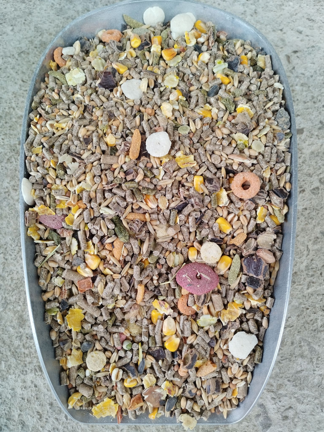 Mélange cochon d&#039;inde pro