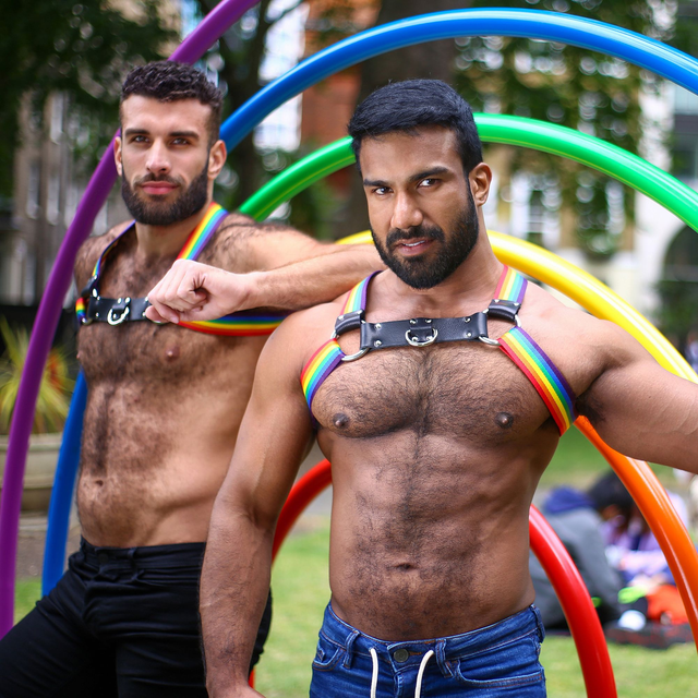 Pride Unicorn Chest Harness 