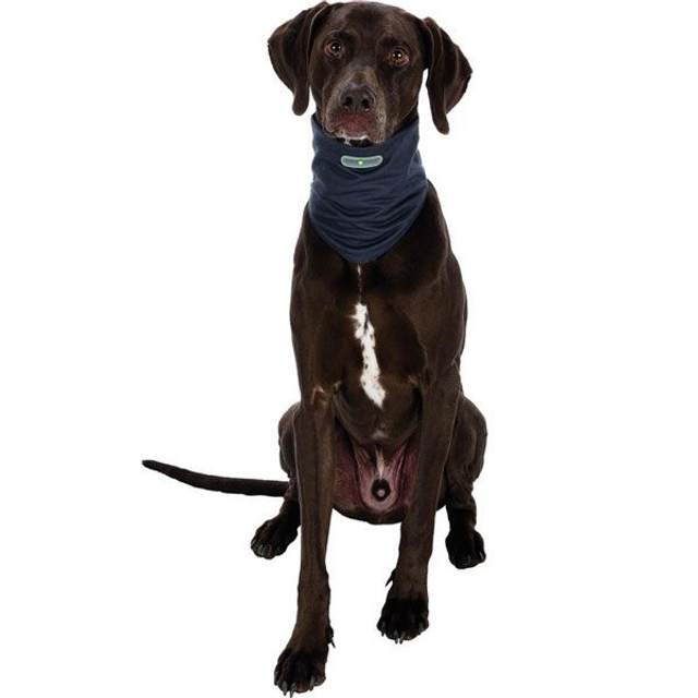 Trixie InsectShield Bandana tegen insecten grijs XL