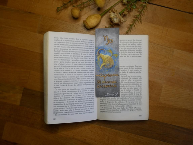 Marque-page Capricorne