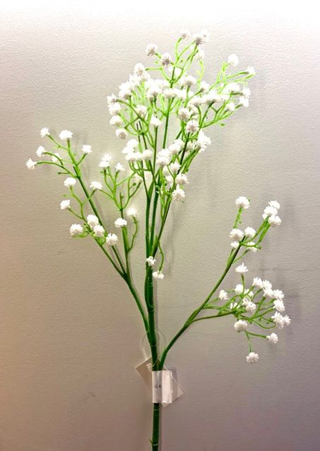 RAMA PANICULATA BLANCA