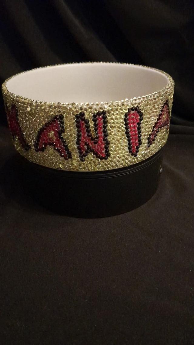 (Your Pets Name) Wrestling HULK HOGAN YELLOW Theme CUSTOM PET NAME Decorated &amp; Designed White Pet Bowl PRE-ORDER