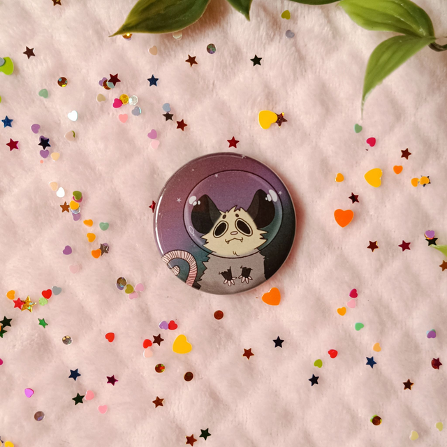 Space possum pins