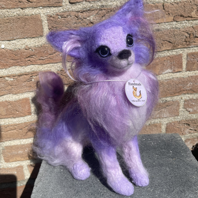 Wolvilt chi paars Miracle