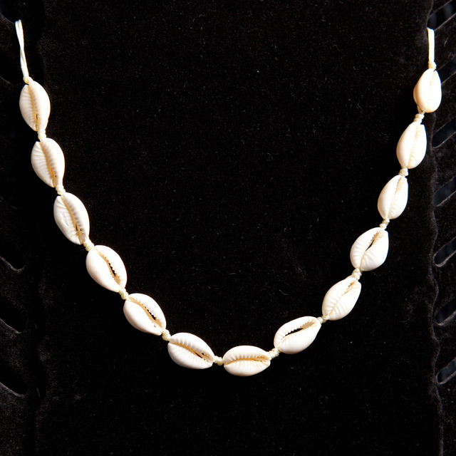 Collier coquillage