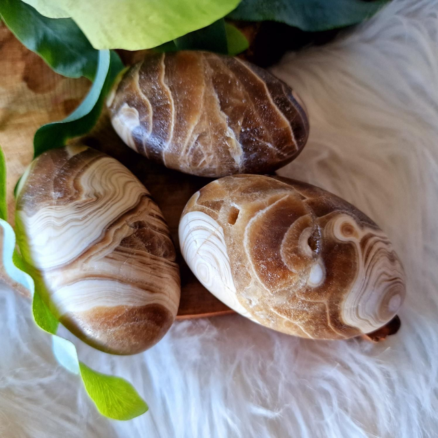 Chocolate Calcite Palm