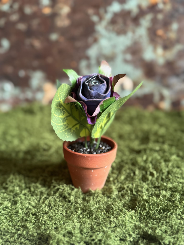 49.👁️ Specimen: The Hypnotic Bloom