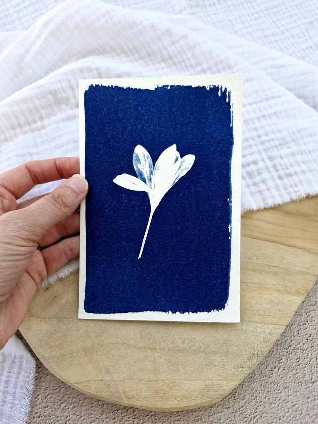 Mini CyanÔ - Carte - Crocus #3