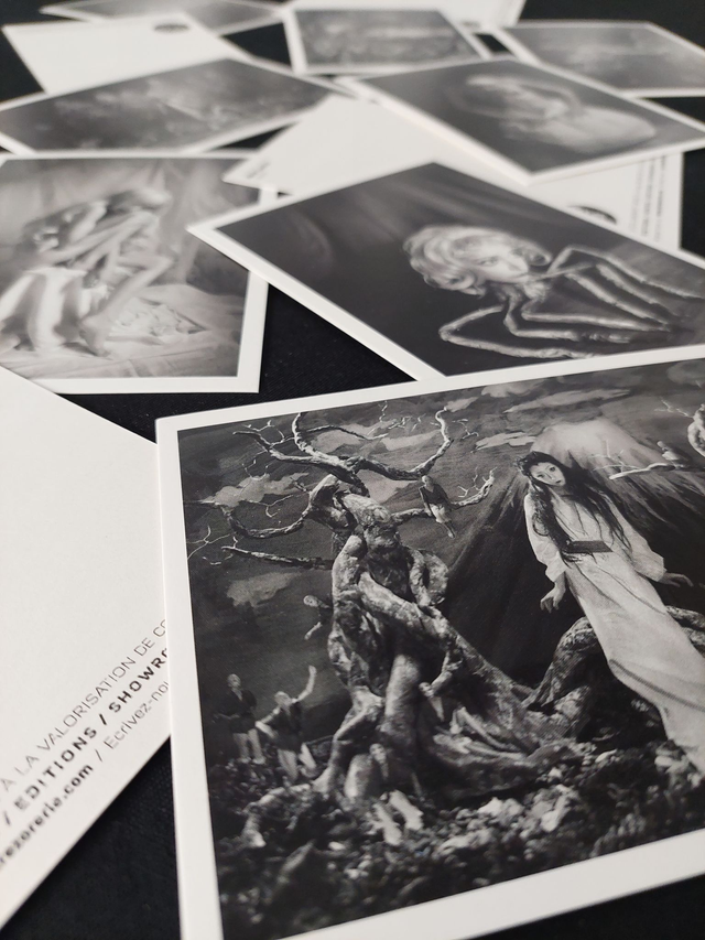 Jeu de 5 cartes "Féebrile" Exposition