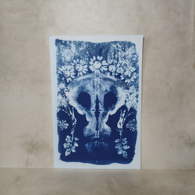Cyanotype Empreinte "Fugit irreparabile tempus"