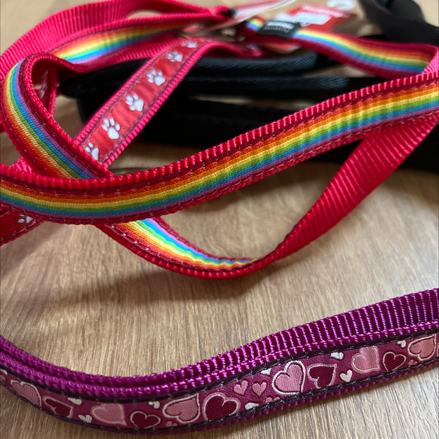 RedDingo Patterned Leash -Small