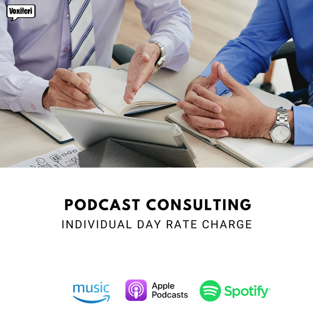 Consulting Services (day rate)