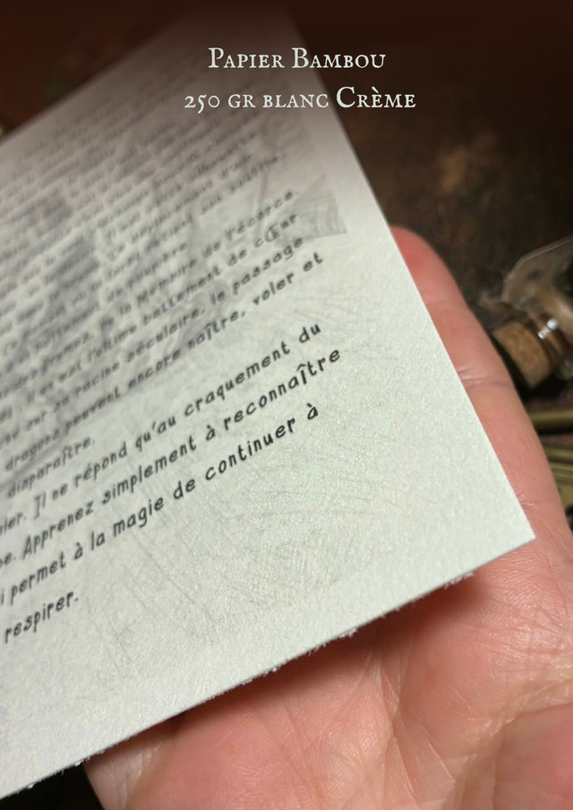 Choniques Draconiques: Orynne et Aelyne