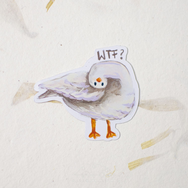 Mewa WTF?! | ZWIERZĘTA