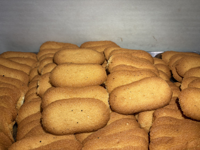 Lingue di Gatto