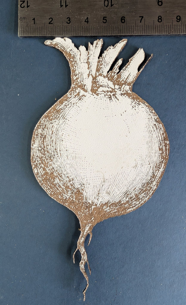 Turnip Blank pack of 5 on MDF (2mm W 78mm * H 141mm)