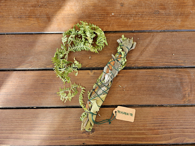 Bâton de fumigation PROSPERITE (Purification naturelle aux plantes de Provence)