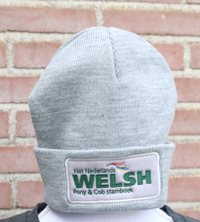Muts Welsh Grijs