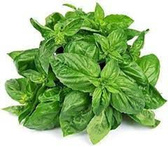 FRESH BASIL (100GR)