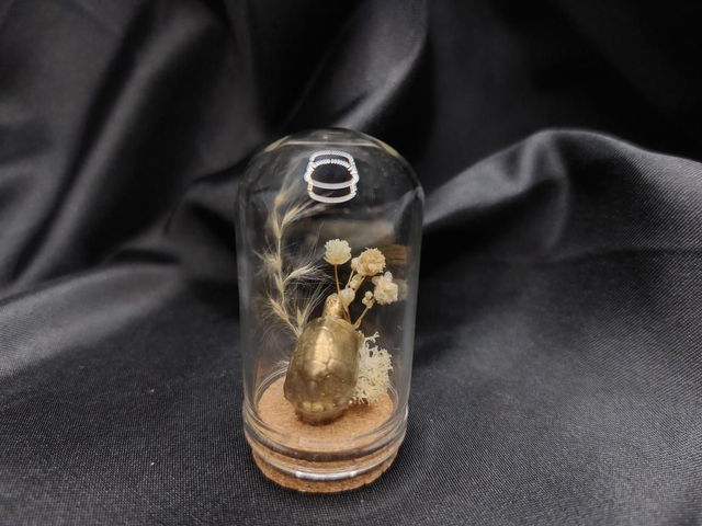 Mini-cloche tortue dorée 