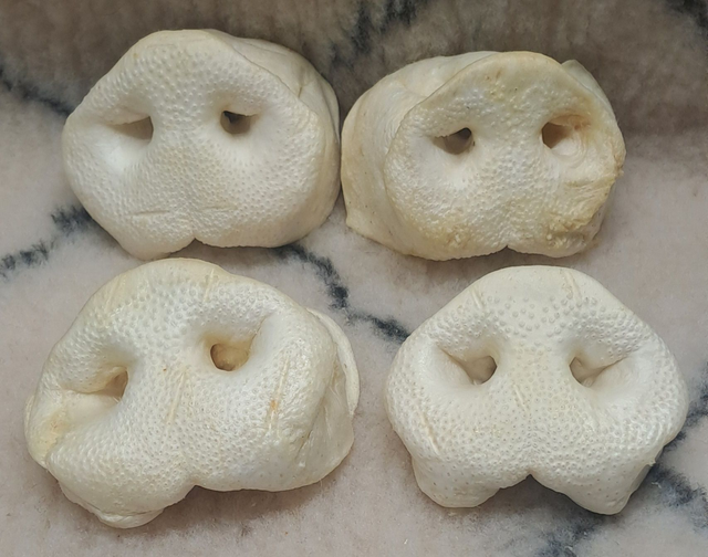 02 - Nez de Cochon Soufflé