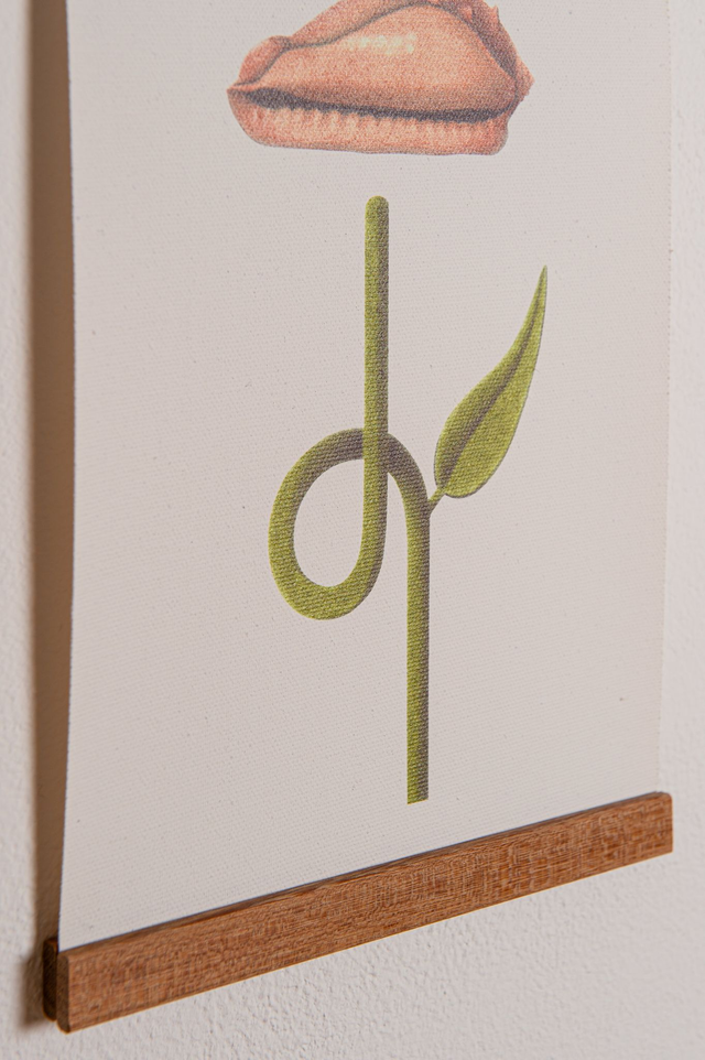 Fiore su canvas Conchiglia
