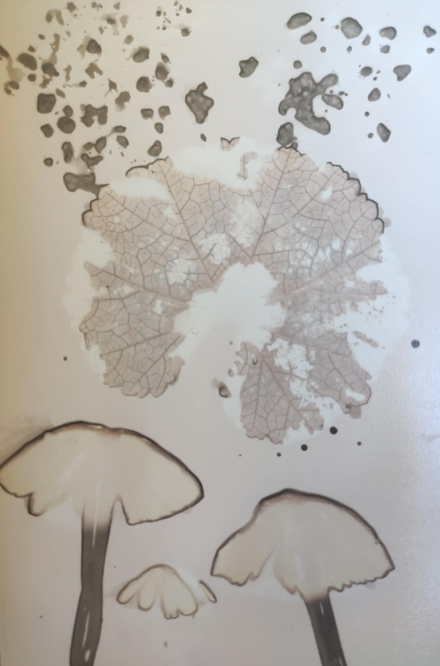 Bouquet d'automne – Lierre terrestre et champignons