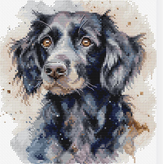 Border Collie Cross Stitch kit with hoop
