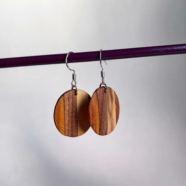 Boucles d&#039;oreilles multicolores