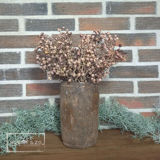 Gipskruid crème/bruin