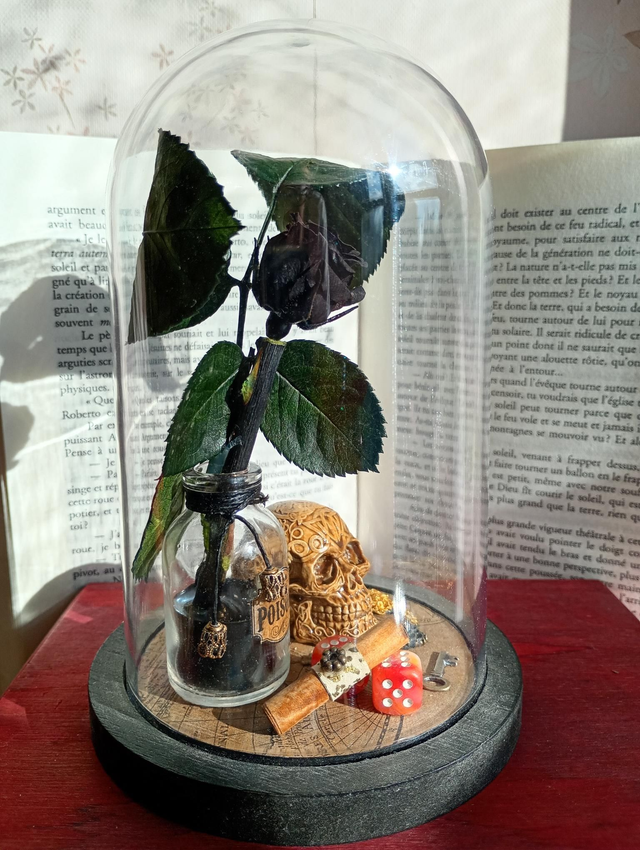 D02 Pirate fleur noire