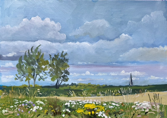 Etton West Wood, a view over set-aside.