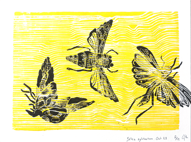 Bêtes sylvestres A5+ 2/12