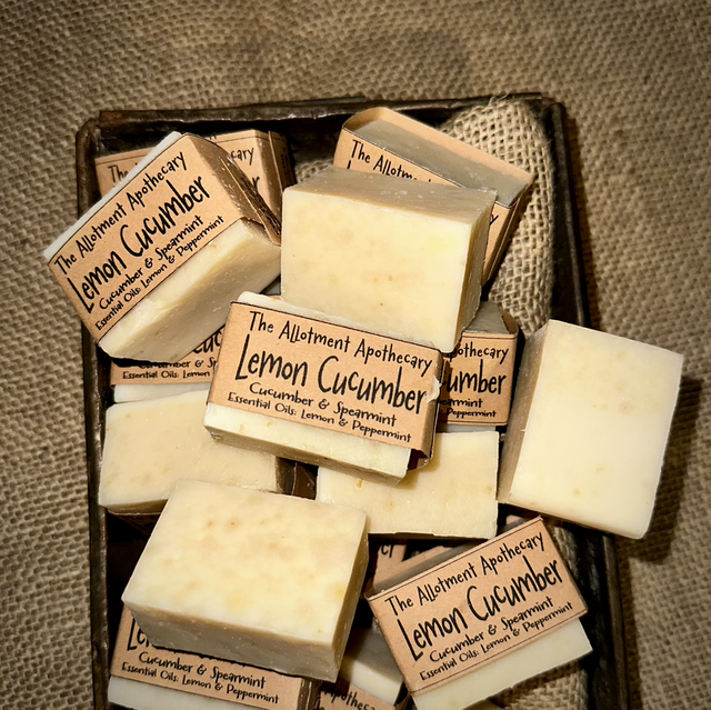 Lemon Cucumber Small