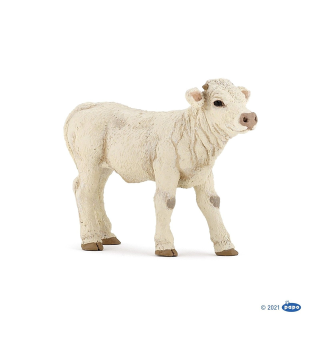 PAPO 51157 veau charolais 