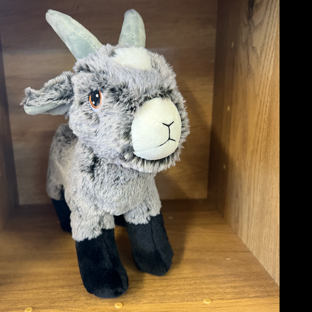 Soft Grey Goat 