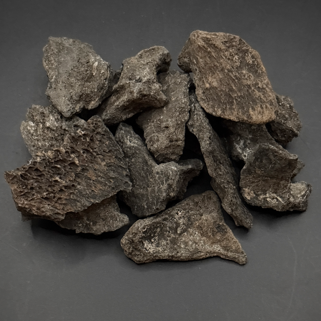 Mastodon Bone Fragment 