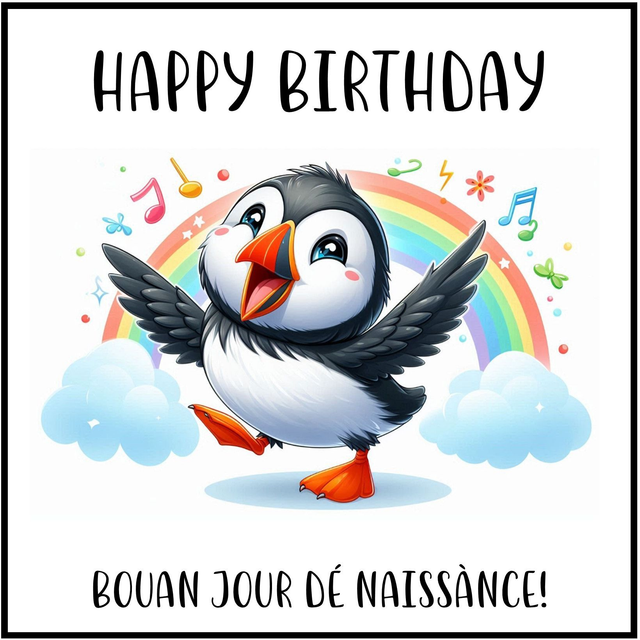 100 CARD - OCCASION BIRTHDAY PUFFIN RAINBOW