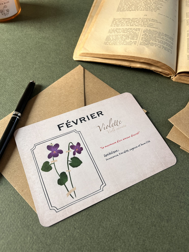 Carte 02. Février, la violette