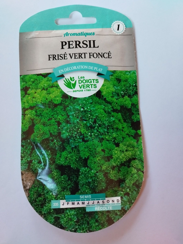 Persil Frisé vert foncé