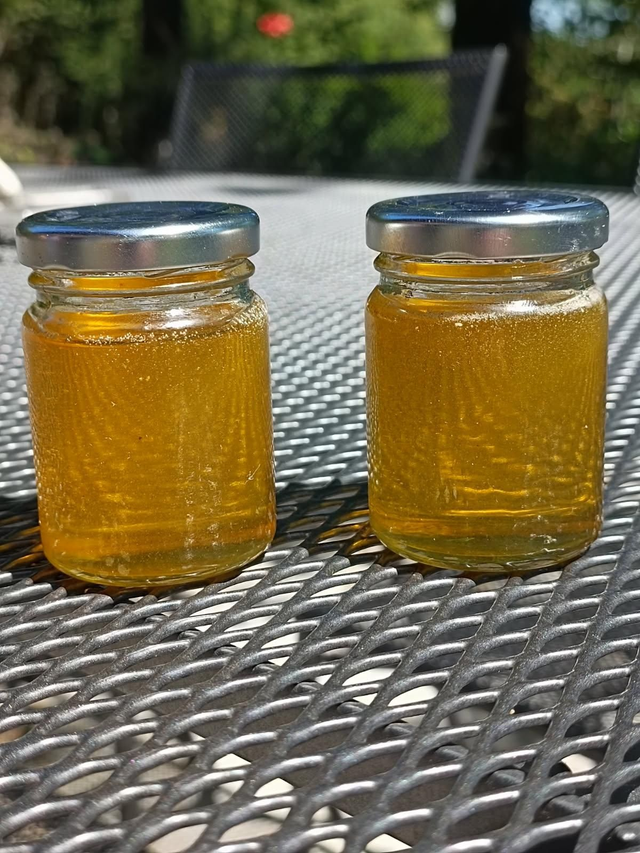 1- Miel de printemps 250gr