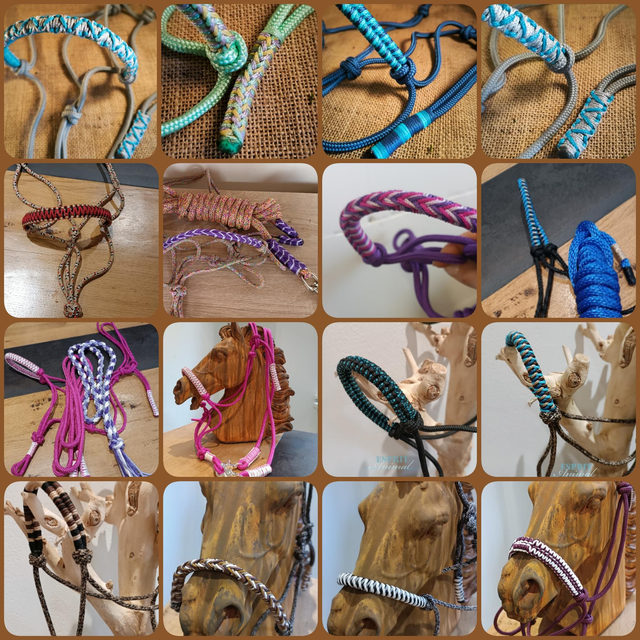 Modèles disponibles sur demande