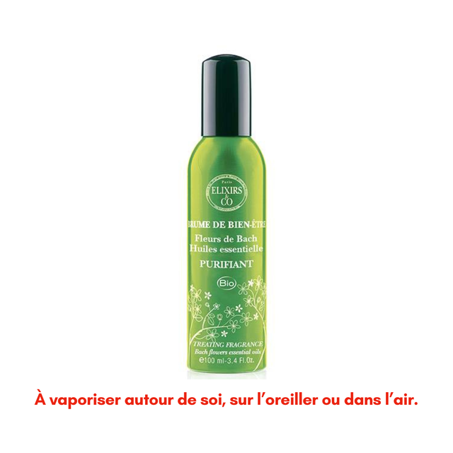Brume Purifiante ~ 100ml