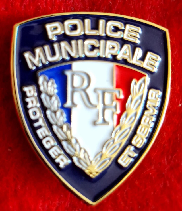 Insigne de calot métallique 