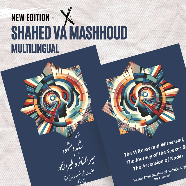 Shahed va Mashoud - Seir al Saer va Tair al Nader - شاهد و مشهود