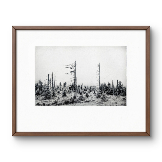 A4 "Harz" A4  photogravure handprint framed