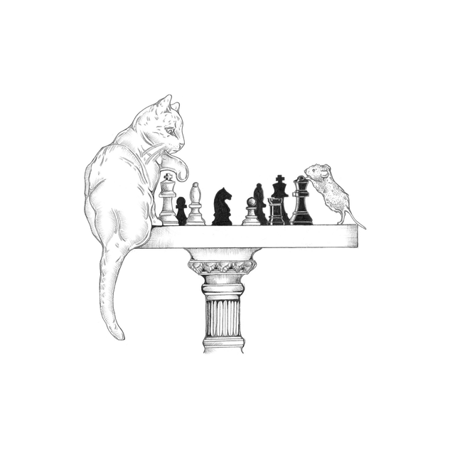 28. A game of cat &amp; mouse