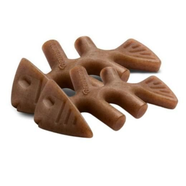 Lot de 2 Jouets à mastiquer spécial chiot goût saumon