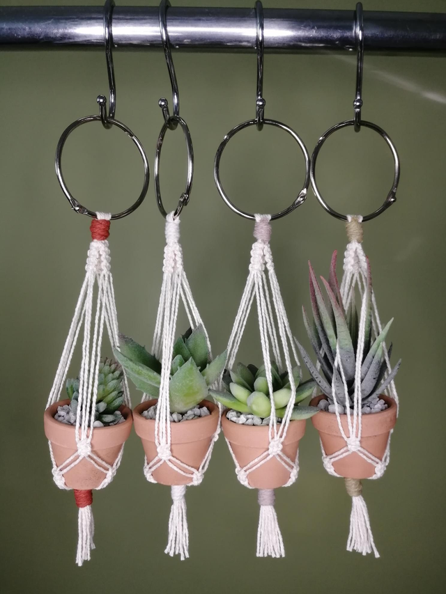 Mini Succulent Plant Hangers