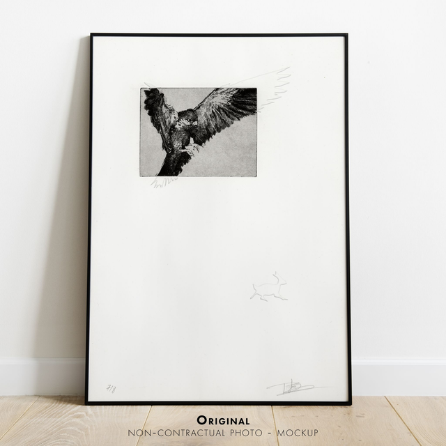 Fine art etching / Not Framed / Bird of Prey